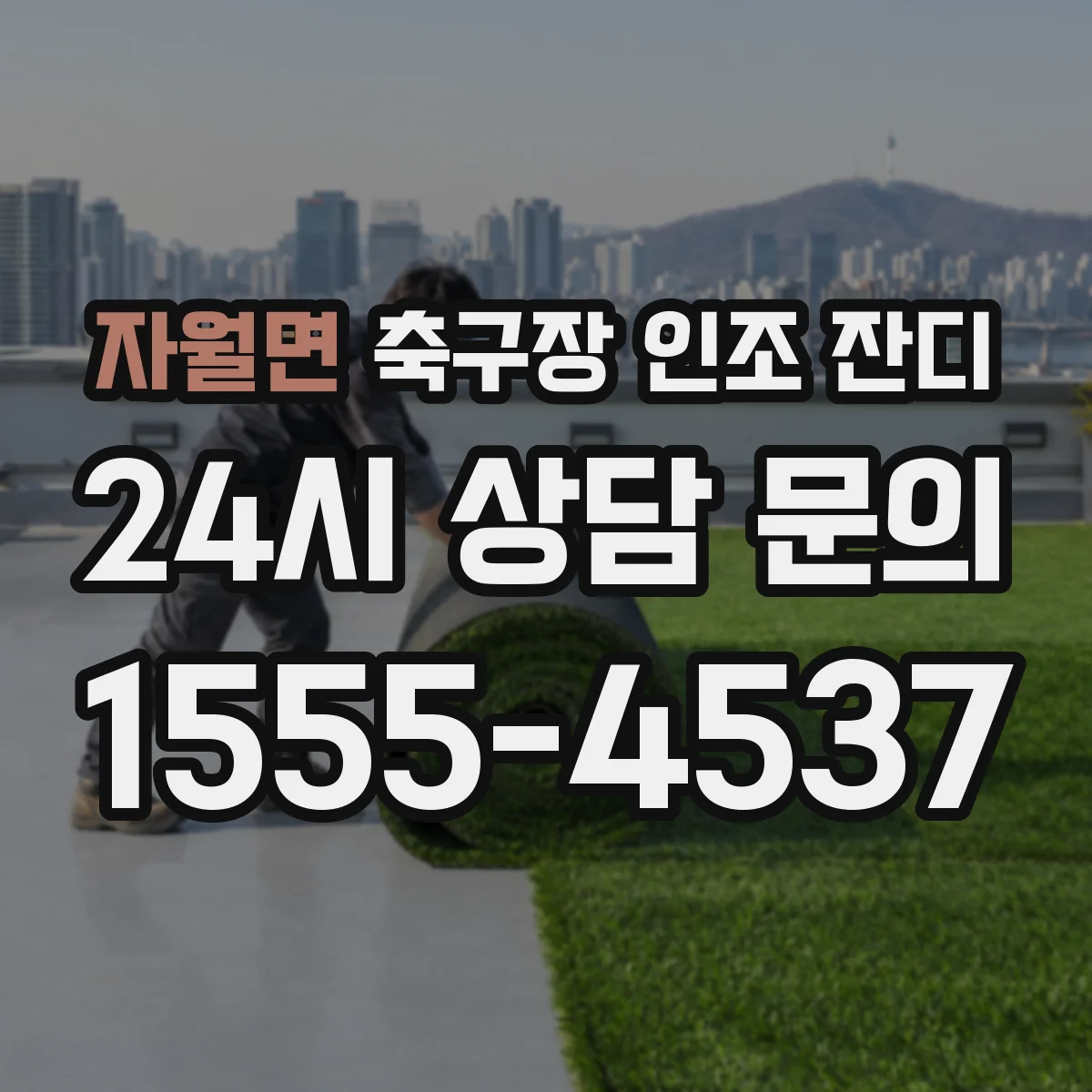 자월면 축구장 인조 잔디