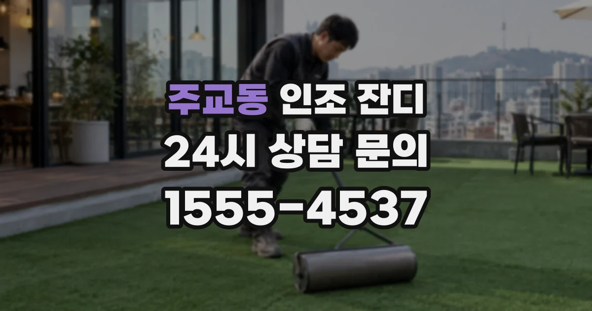 주교동 인조 잔디
