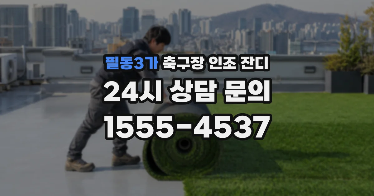 필동3가 축구장 인조 잔디