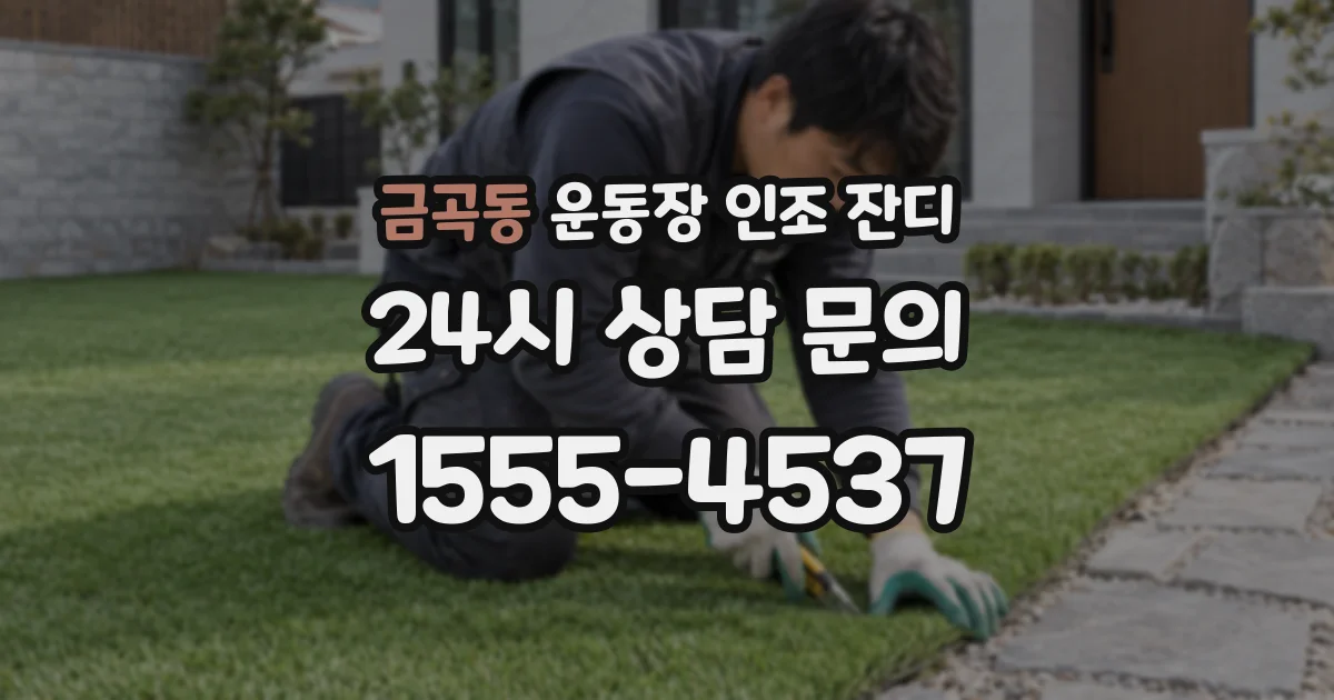 금곡동 운동장 인조 잔디