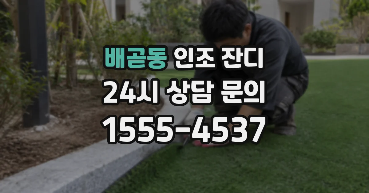 배곧동 인조 잔디