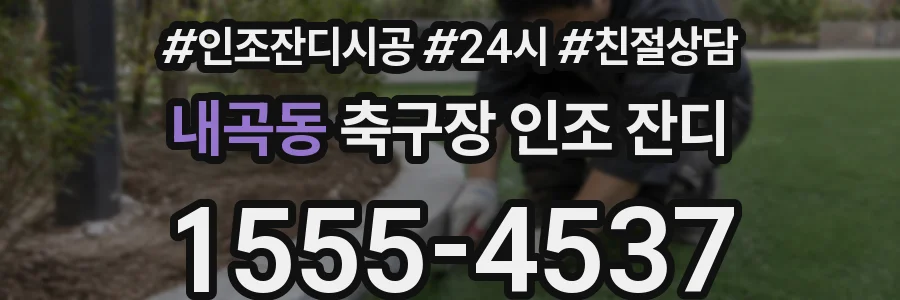 내곡동 축구장 인조 잔디