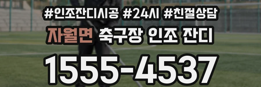 자월면 축구장 인조 잔디