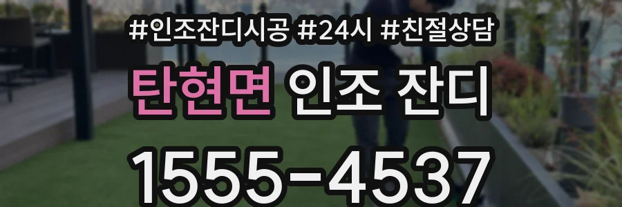탄현면 인조 잔디