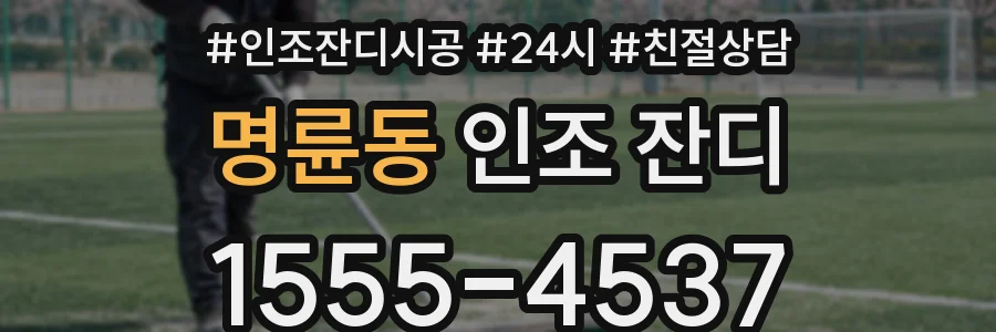 명륜동 인조 잔디
