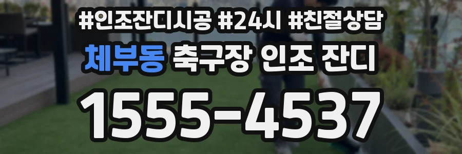 체부동 축구장 인조 잔디