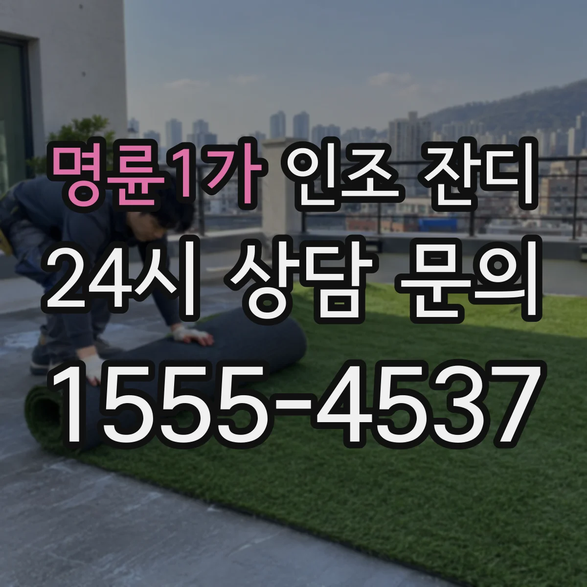 명륜1가 인조 잔디