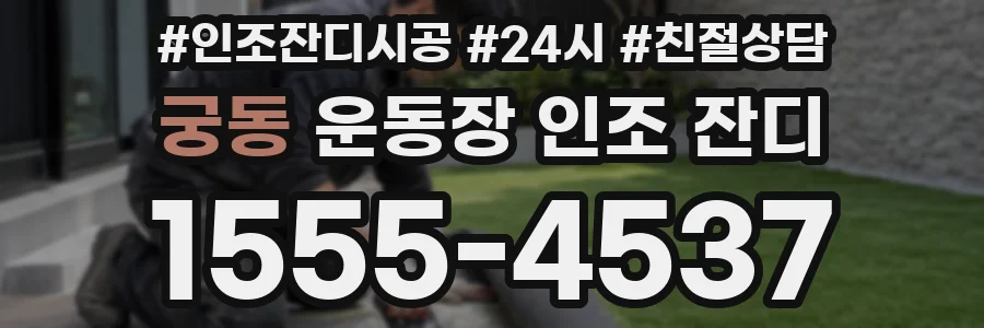 궁동 운동장 인조 잔디