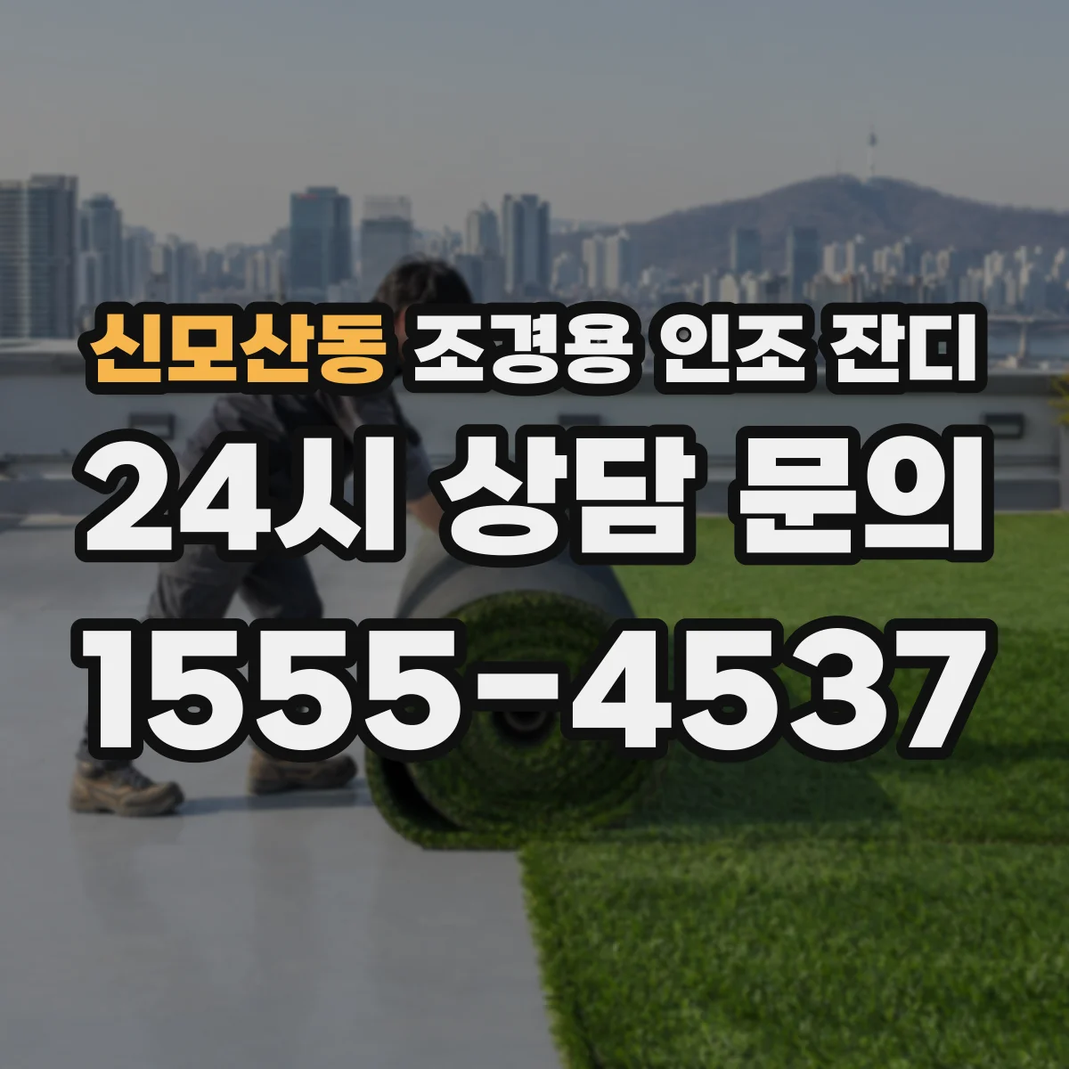 신모산동 조경용 인조 잔디