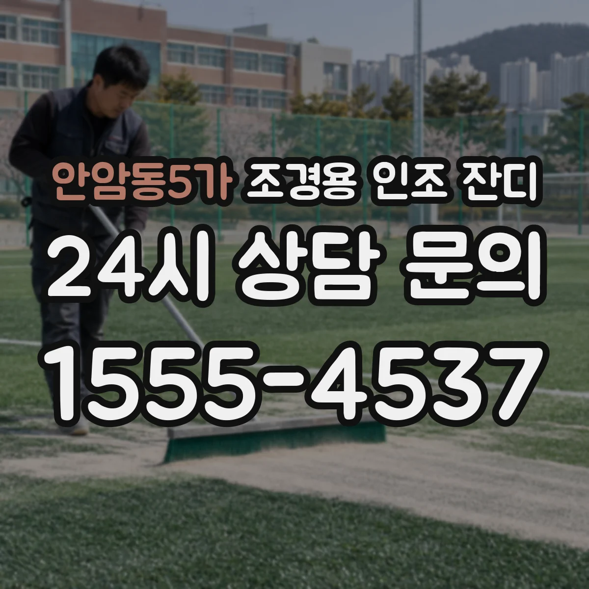 안암동5가 조경용 인조 잔디