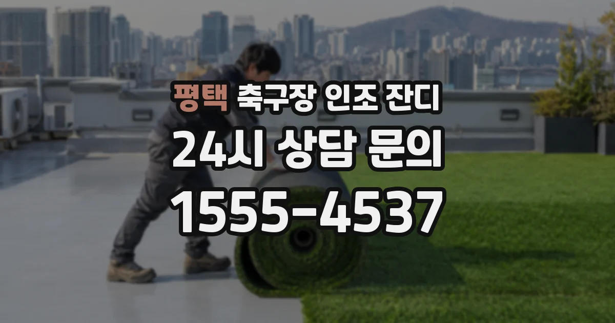 평택 축구장 인조 잔디