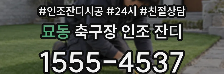 묘동 축구장 인조 잔디