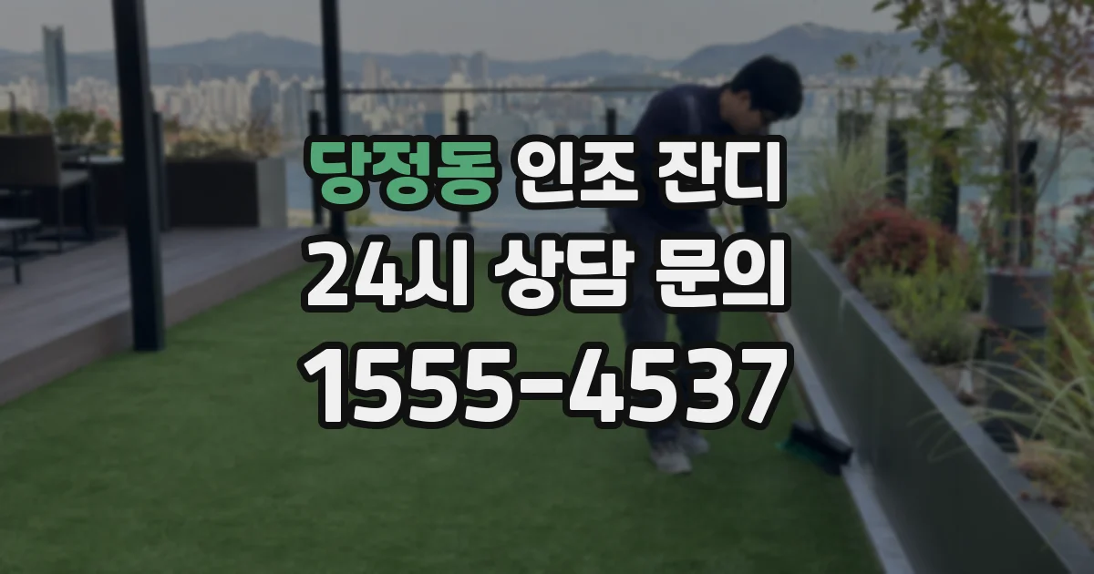 당정동 인조 잔디