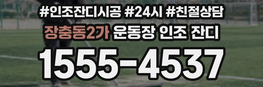 장충동2가 운동장 인조 잔디