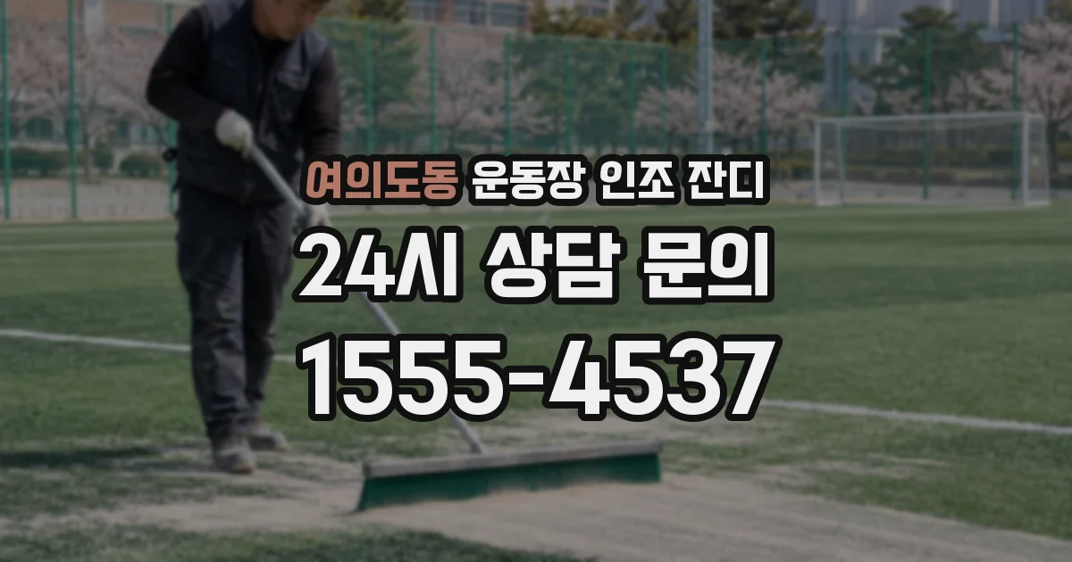 여의도동 운동장 인조 잔디