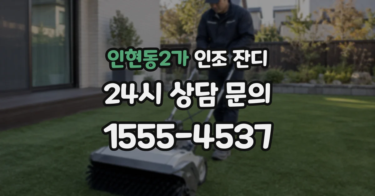인현동2가 인조 잔디