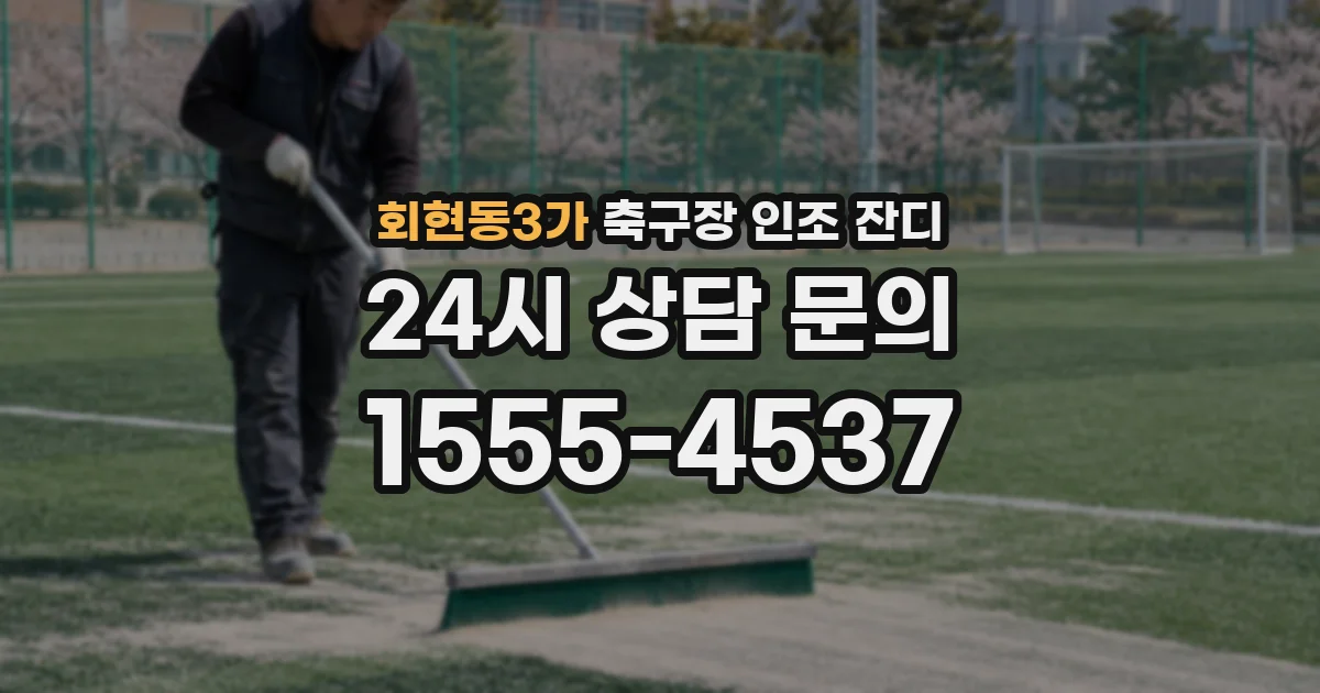 회현동3가 축구장 인조 잔디