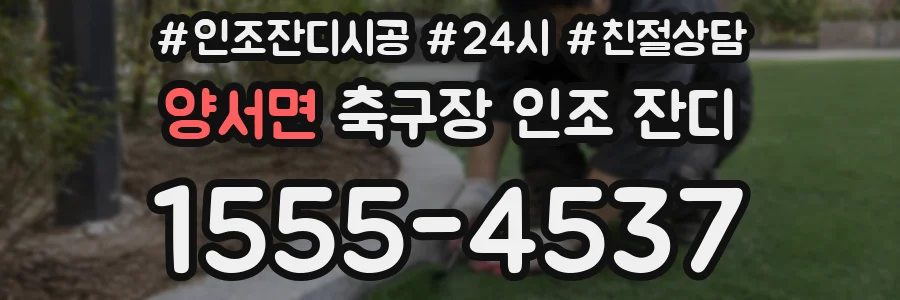 양서면 축구장 인조 잔디