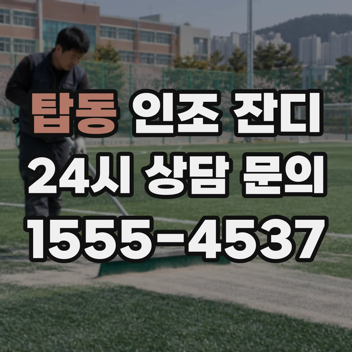 탑동 인조 잔디