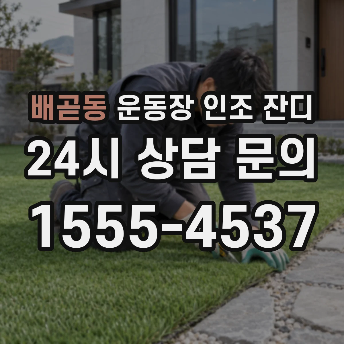 배곧동 운동장 인조 잔디