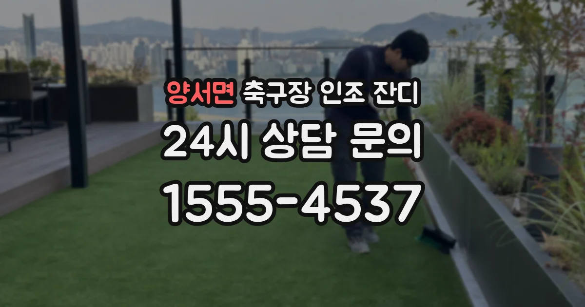 양서면 축구장 인조 잔디