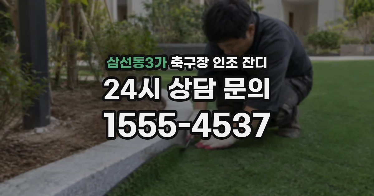 삼선동3가 축구장 인조 잔디