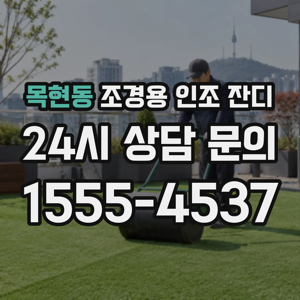 목현동 조경용 인조 잔디