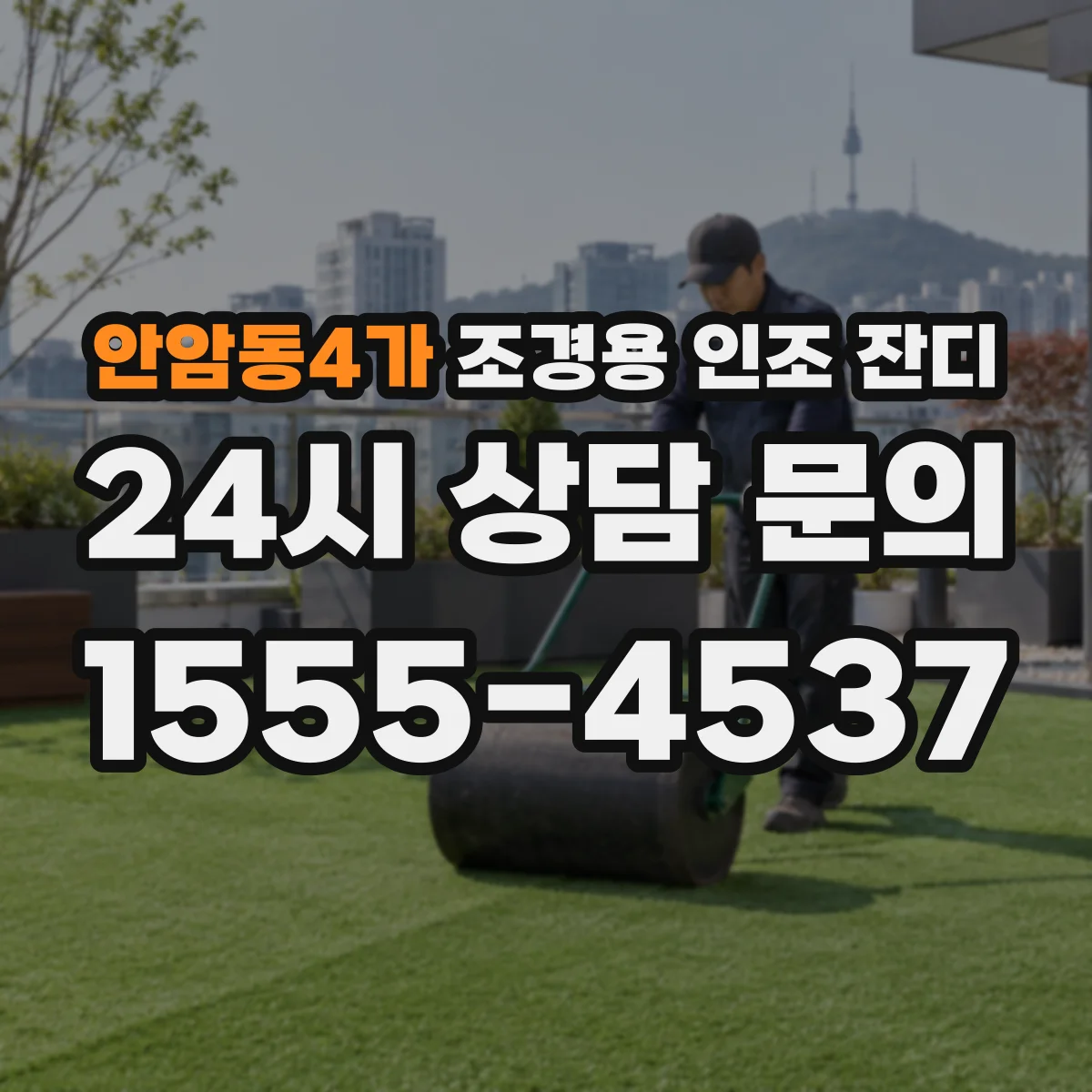 안암동4가 조경용 인조 잔디