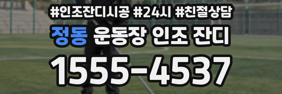 정동 운동장 인조 잔디