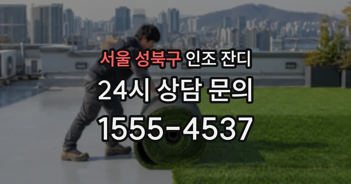 서울 성북구 인조 잔디