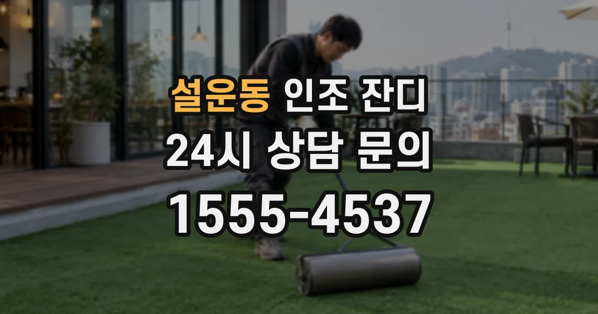 설운동 인조 잔디