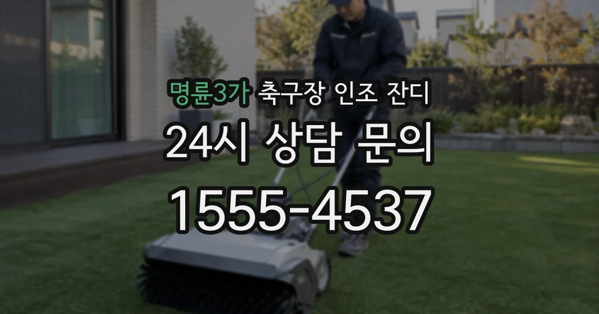 명륜3가 축구장 인조 잔디