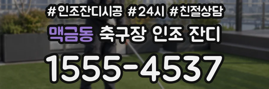 맥금동 축구장 인조 잔디