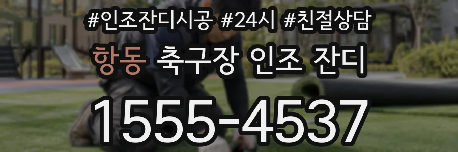 항동 축구장 인조 잔디