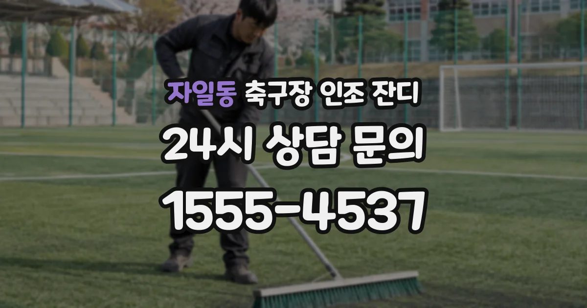 자일동 축구장 인조 잔디
