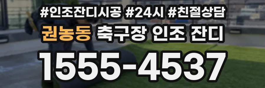권농동 축구장 인조 잔디