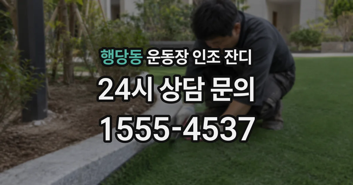 행당동 운동장 인조 잔디