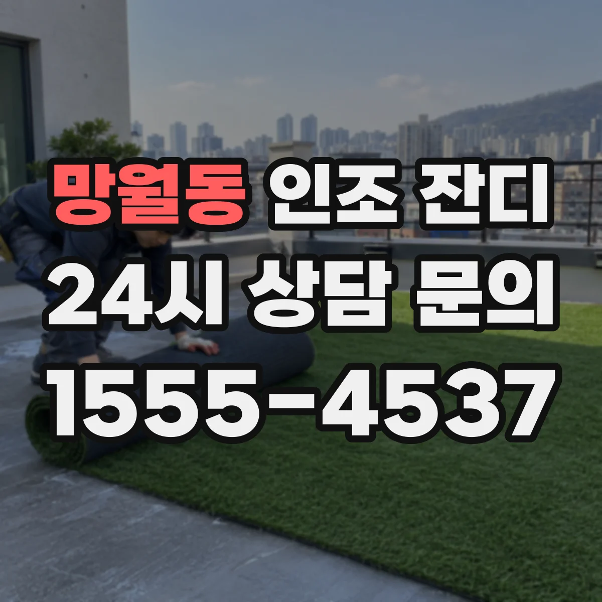 망월동 인조 잔디
