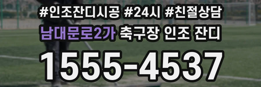 남대문로2가 축구장 인조 잔디