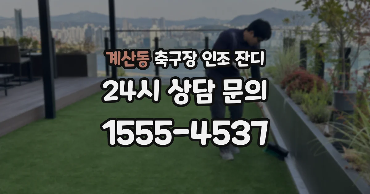 계산동 축구장 인조 잔디