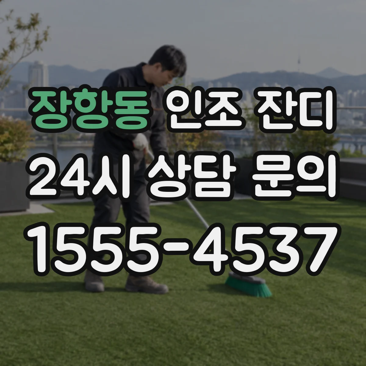 장항동 인조 잔디