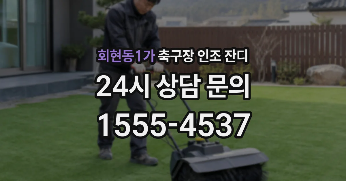 회현동1가 축구장 인조 잔디