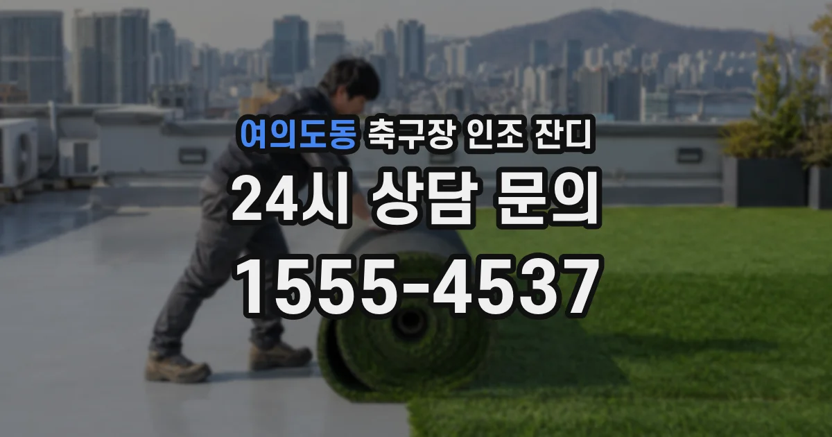 여의도동 축구장 인조 잔디