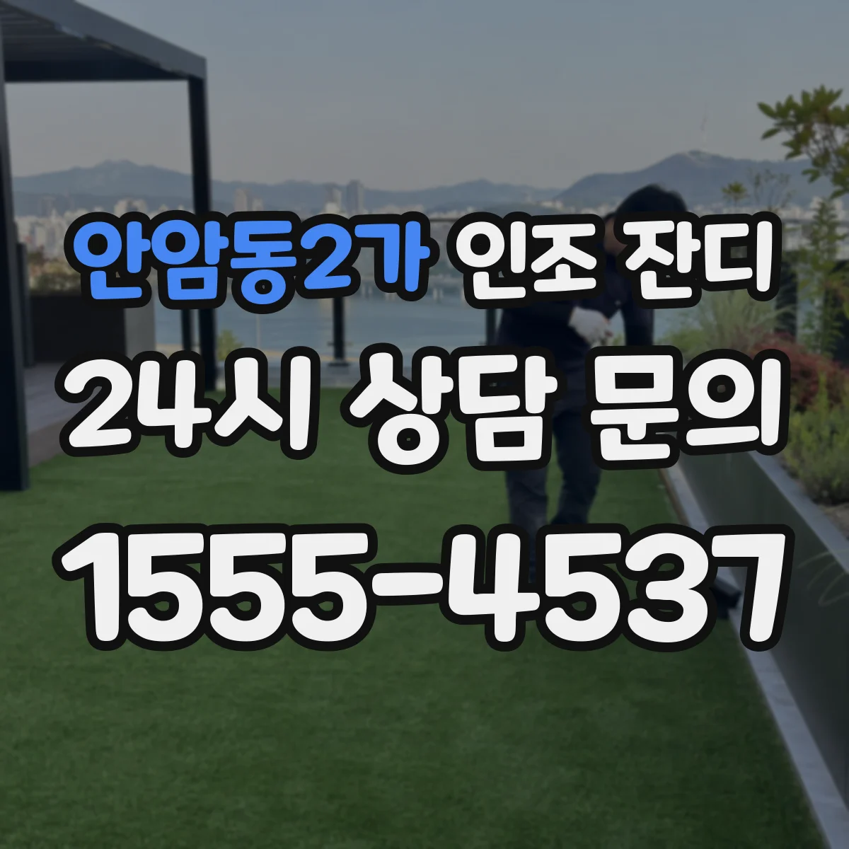 안암동2가 인조 잔디