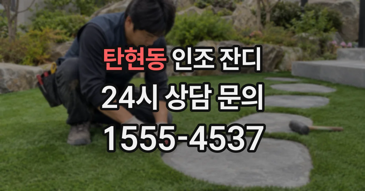 탄현동 인조 잔디
