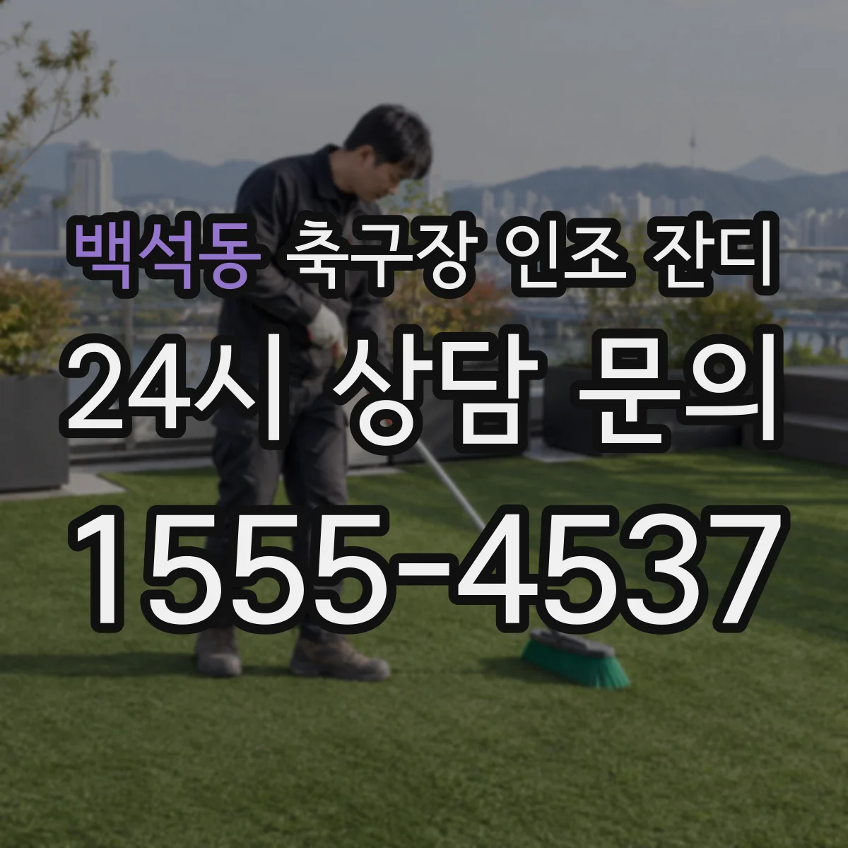 백석동 축구장 인조 잔디