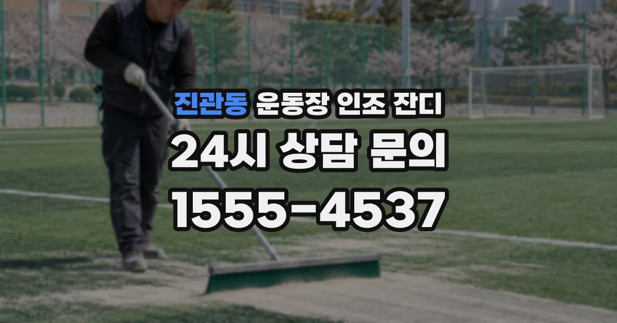 진관동 운동장 인조 잔디