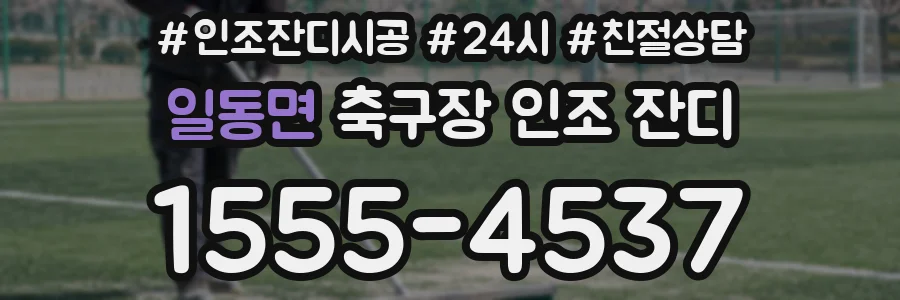 일동면 축구장 인조 잔디