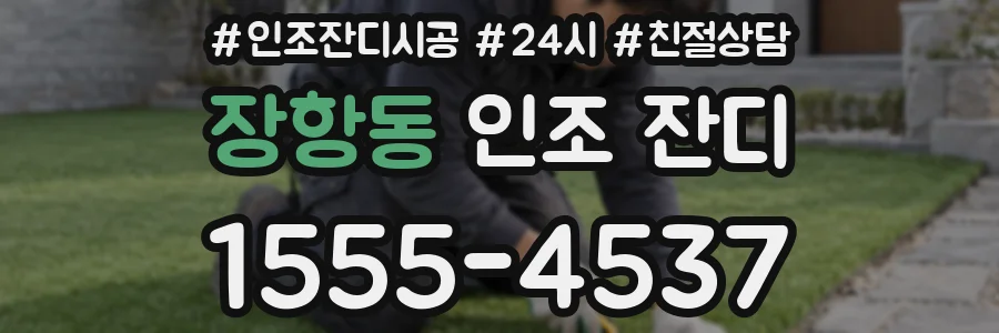 장항동 인조 잔디