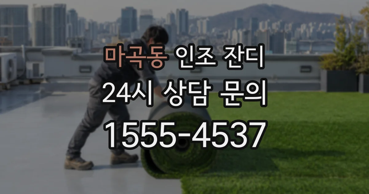 마곡동 인조 잔디